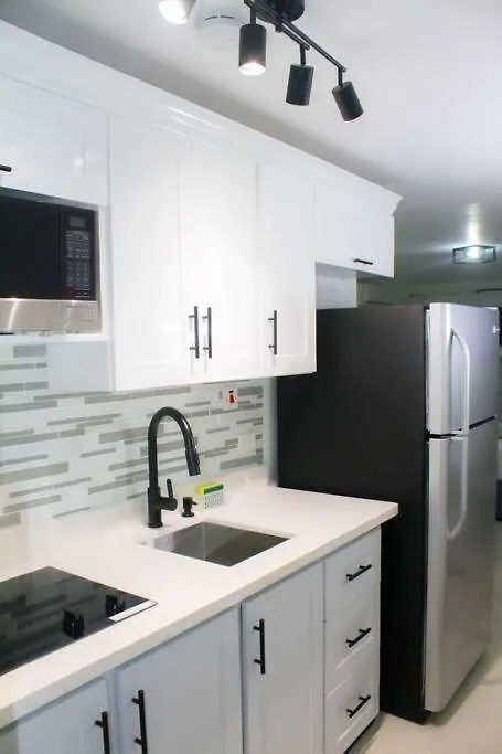 Minimalist Studio Near Devon House Kingston Apartment